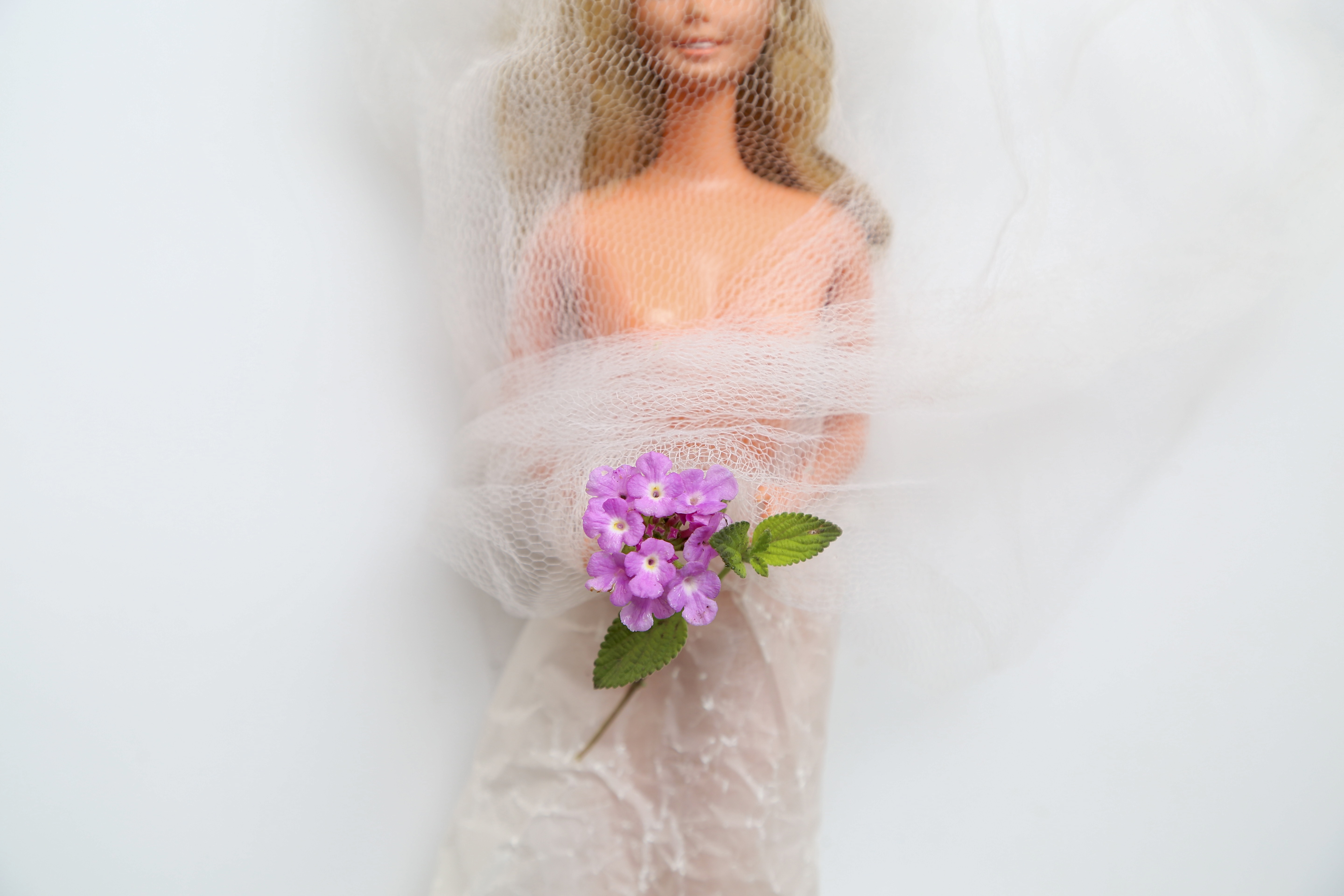 Atravesada XXII: Velo Nupcial